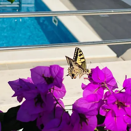 Amaris - With Sea View & Heated Swimming Pool At Ciovo * トロギール