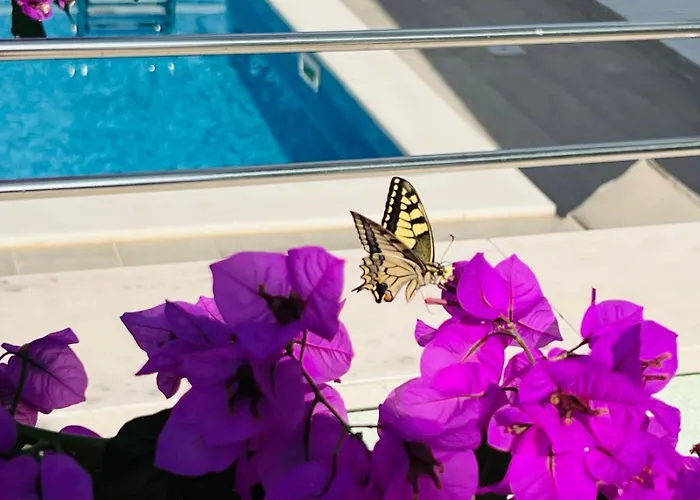 Amaris - With Sea View & Heated Swimming Pool At Ciovo * トロギール